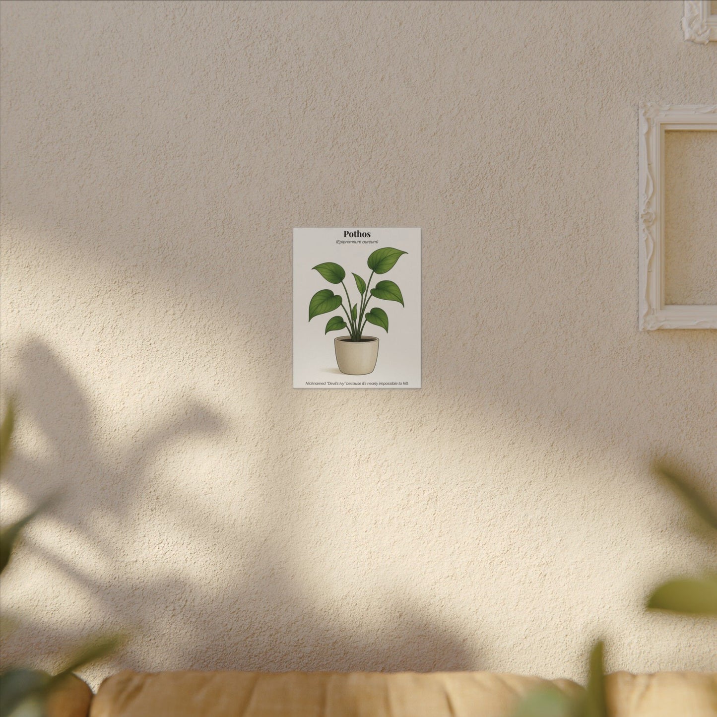Pothos Plant Wall Art - Matte Canvas Print
